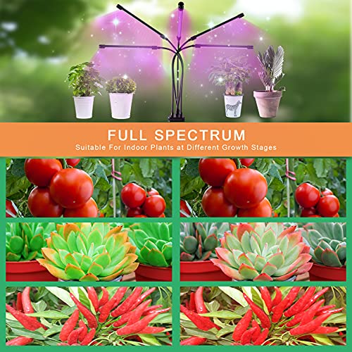 Aogled Lampe LED Horticole 50W,5 Têtes Lampe Pour Plante avec Clip 150LEDs avec 360° Adjustable,3/9/12H Cycle Minuterie,3 Modes&10 Luminosité,Grow Light Pour la Croissance des Plantes