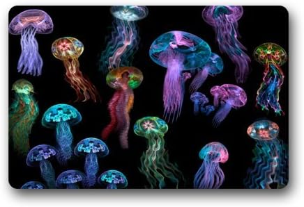 Door Mat Cool Corlorful Jellyfish Pattern Doormat Rug Indoor/Outdoor/Front Door/Bathroom Mats Floor Mat 23.6inch X 15.7inch