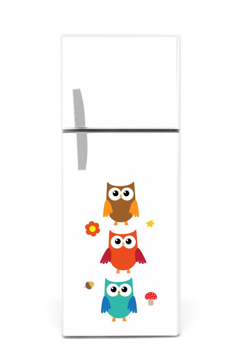 Frigorífico Etiqueta 60 x 90 cm Búhos 3 unidades): Amazon.es: Jardín