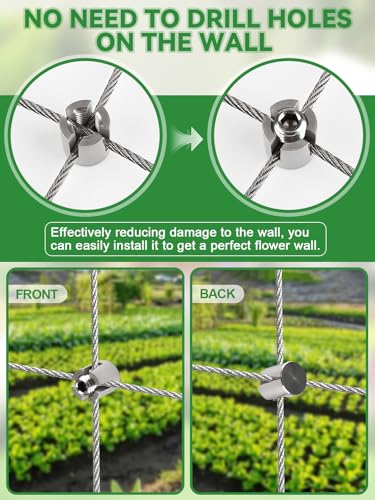 185-Piece Stainless Steel Trellis for Climbing Plants, Kalolary 30 M Stainless Steel High Performance Trellis Set Wall Climbing T316 Steel Wire Rope Cross Clamps Trellis System Set for Flowers Vines