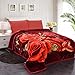 JML Heavy Warm Blanket, Plush Blankets King Size 85