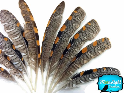 Moonlight Feather, Wing Feathers - Natural Jungle Cock Small Wing Feathers - 10 Pieces