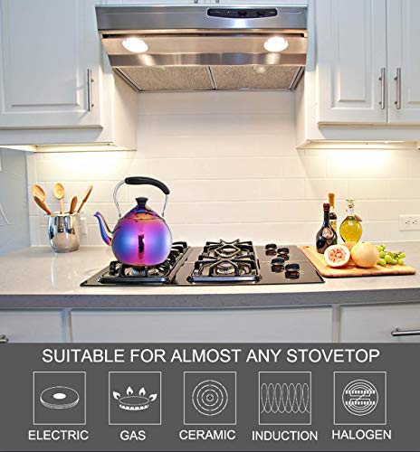 OMGard Whistling Tea Kettle Stainless Steel Rainbow Teapot 2 Liter Teakettle for Stovetop Induction Stove Top Boiling Water Colorful Tea Pot Modern Mirror Finish 2.1 Quart, 68 ounce
