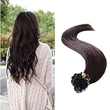Sunny 20inch #2 Dark Brown Pre Bonded Keratin Fusion nail U Tip Long Straight Remy Human Hair 1g/s Total 50g Utip Hair Extensions