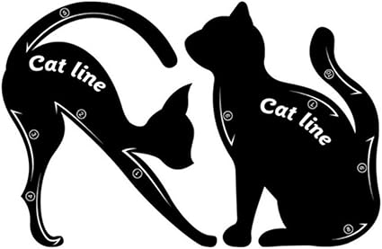 Sanwood 1 Paire Cat Eyeliner Guides Facile Rapide Outil De Maquillage Eye Liner Pochoirs Modeles Plastique Noir Taille Unique Amazon Fr Cuisine Maison