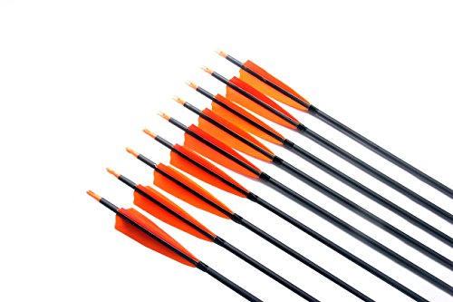 image for PG1ARCHERY 30 Inch Archery Hunting Target Arrows, Carbon Arrows 5