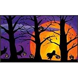 After Dark Indoor/outdoor Doormat