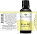 Plant Therapy Brain Aid Essential Oil Blend for Focus & Attention 100% Pure, Undiluted, Natural Aromatherapy, Therapeutic Grade 30 mL (1 oz)