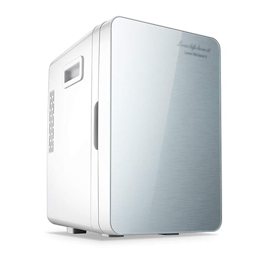 Refrigerador del Coche Mini refrigerador Refrigerador del ...