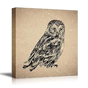 Birds Flowers Owls Butterflies Home Artwork for Living Room Bedroom