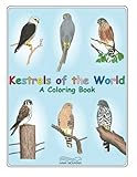 Kestrels of the World - A Coloring Book by Hawk Mountain Sanctuary, Julie Mallon