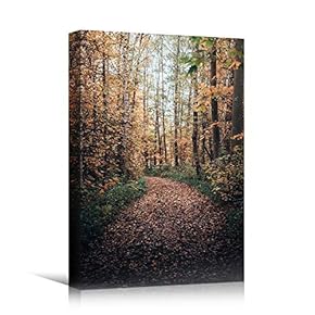 signwin Canvas Wall Art Autumn Dramatic Forest Landscape...