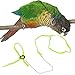 Mokook Adjustable Harness Leash for Parrot African Grey Cockatoo Macaw Ringneck Parakeet Cockatiel and Reptile Lizard Outdoor Walk, Adjustable and Bite Resistant Design, 3.9FT/1.2M