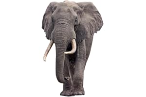 DORDOR & GORGOR Elephant - Life Size Cardboard Cutout Standup People with Support Standee | Animals -