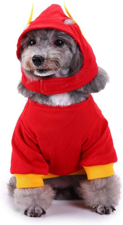 lightning dog jersey