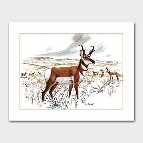 Pronghorn Deer Art w/Mat (Rustic Country Artwork, Wild Animal Home Wall Decor) "Antelopes" -- Vintage Matted Print
