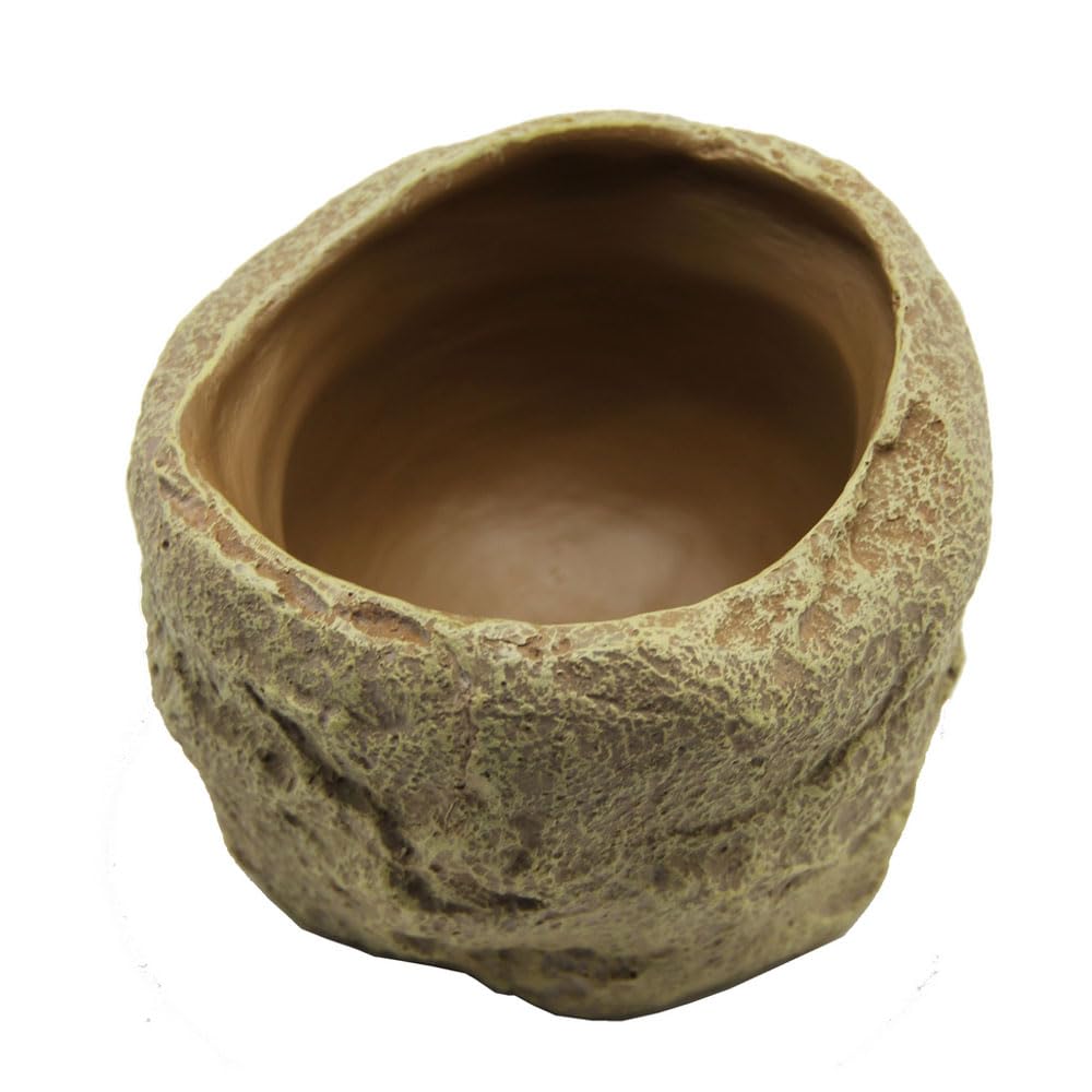 Reptiles Planet Repti Dish M Deep Bowl for Turtles or Reptiles 12 x 11.5 x 8 cm