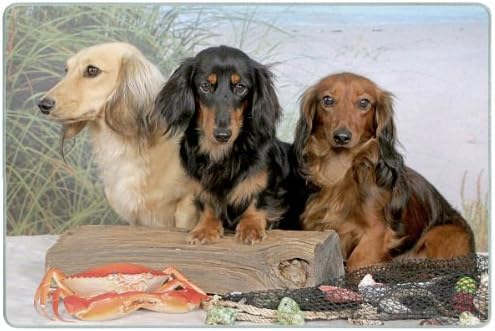 Dachshund Cutting Board - Small