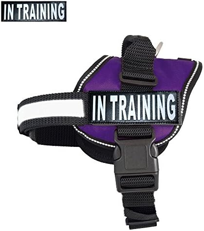 GOLDBELL Adjustable In Training Dog Harness ,Dog Reflective Vest with In Training Patches for Large Medium and Small Dogs(XLarge: Fits Girth 25-34inch)