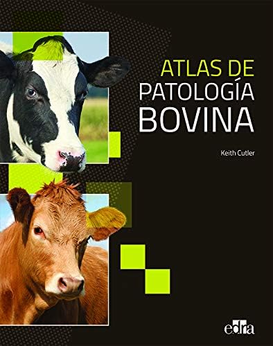 Amazon.com: Prometheus. Atlas de Anatomía 4º ed (+ ebook