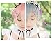 HalloweenCostumeParty Re:Zero Kara Hajimeru Isekai Seikatsu Rem Ram Maid Dress Cosplay Costume (M)