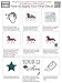 Unicorn Silhouette Wall Decal | If You Can Dream It Quote Lettering | Vinyl Home Decor for Girl's Bedroom, Playroom or Bathroom | Black, White, Pink, Purple, Gold, Other Colors | Small, Large Sizes
