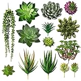 Bioexcel Fake Succulent Plants - Pack of 14 Artificial Succulent Plants - Without Pots Faux Succulents for Indoor and Outdoor Home Decor