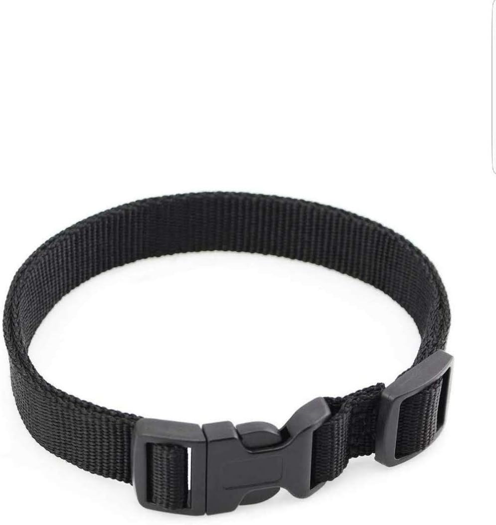 petsafe bark collar replacement strap