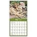 2020 Wolves Wall Calendar