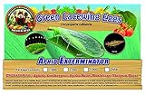 Green Lacewing 1,000 Eggs - Organic Natural Aphid Control