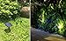 Led Solar Powered Landscape Spotlights, DLLT Waterproof Outdoor Landscaping Lights, 2-in-1 Solar Garden Exterior Wall Light for Tree Flag Yard Pool Lawn Driveway Security Lamps, Daylight