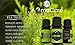Aromatherapy Essential Oils Gift Set in a EXCLUSIVE WHITE BOX (Lavender, Peppermint, Lemongrass, TeaTree, Eucalyptus, Bergamot) FREE Essential Oil Pendant and ebook