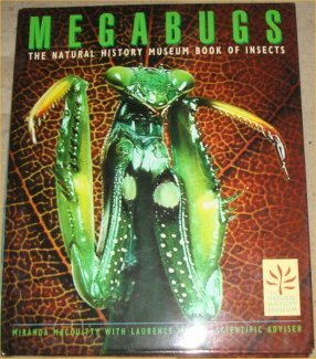 megabugs 1858680417 Book Cover