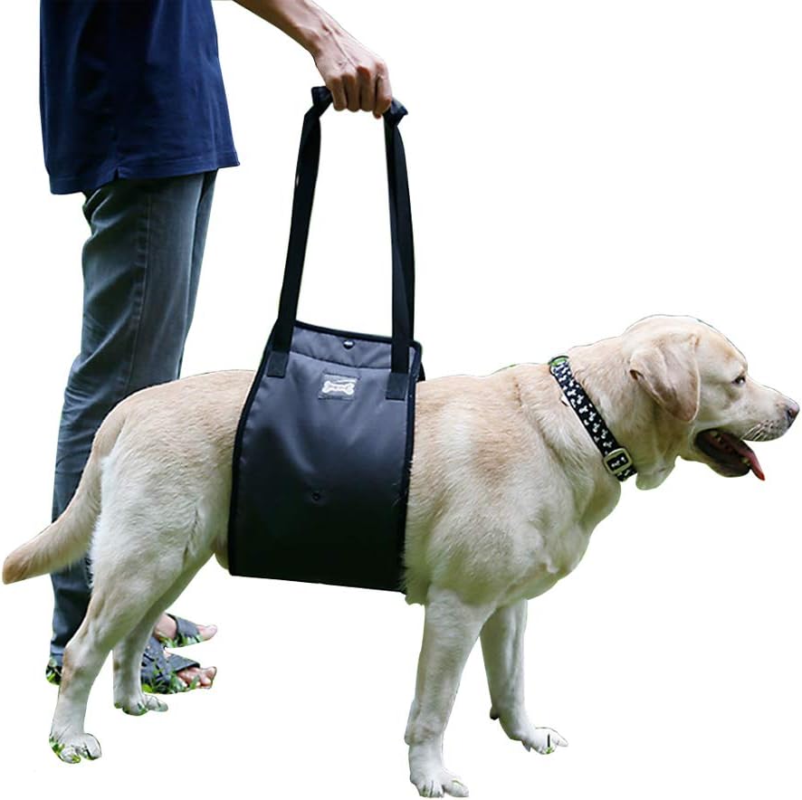 Rantow Dog Lift Support Harness Canine Aid Pet Sling Assist for Small Medium Large Dogs Hind Leg