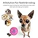 Airsspu Interactive Dog Toy - IQ Treat Ball Food Dispensing Toys for Small Medium Large Dogs Durable Chew Ball - Nontoxic Rubber and Bouncy Dog Ball - Cleans Teeth (Rose)