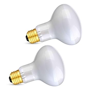 60 watt basking bulb