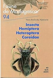 Insecta Hemiptera Heteroptera Coreidae