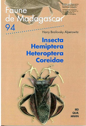 Insecta Hemiptera Heteroptera Coreidae