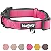 Blueberry Pet 2 Colors Soft & Comfy Made Well Classic Neoprene Padded Adjustable Dog Collar, Muted Red-Violet, Medium, Neck 14.5