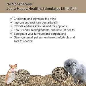 MadeTerra 2 Tappetini e 2 palline per animali domestici,conigli,criceti,porcellini d'India,cincillà e giocattoli da…