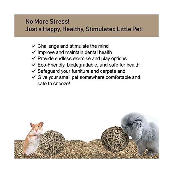 MadeTerra 2 Tappetini e 2 palline per animali domestici,conigli,criceti,porcellini d'India,cincillà e giocattoli da…