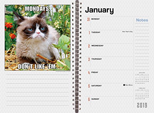 2019 Grumpy Cat® 18-Month Weekly Planner: by Sellers Publishing, 6 x 9; (CW-0490)