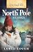 Love Finds You in North Pole, Alaska by 