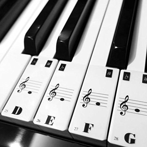 COCODE Piano Key Stickers Removable Keyboard Note Decals for 49 61 76 88 Key Keyboards - Thumbnail 6