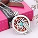 BeautyFou Chic Aromatherapy Necklace Essential Oils Diffuser Hollow Locket Pendant