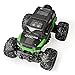 Gizmovine Mud Monster Pickup Remote Control RC Truck RC Car 1:16 Scale Rechargeable w/ Mud Splatter Paint Job Green&Black