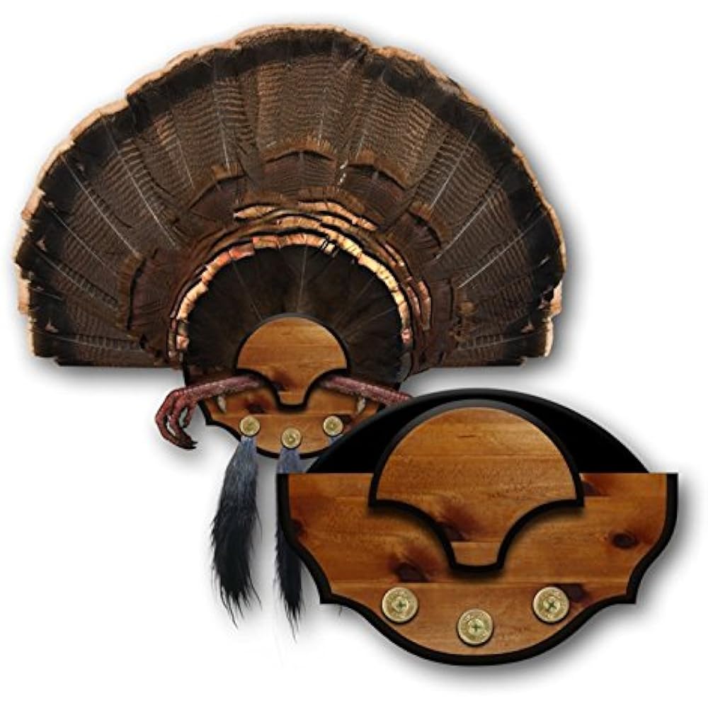 Mike Reproductions Beard Master Turkey Mounting Kit Turkey Fan Mount