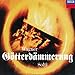 Wagner: Gotterdammerung