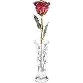 Forever Rose Hand-Dipped in 24K Gold, Ruby Red July Birthstone | Real Rose with Sparkles in Luxury Gold Gift Box &amp; Clear Glass Bud Vase, Perfect Ready to Gift for Birthday or Any Occasion