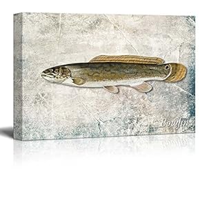 Green Bowfin Fish Illustration on a Textured Background - Canvas Art Home Art - 12x18 inches